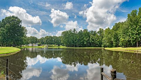 409 Farmer Dr, Hampton, GA 30228 photo 8