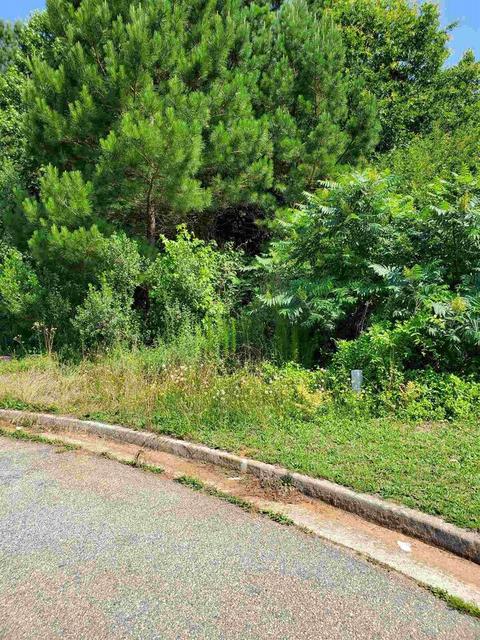 105 Kendall Lan, Covington, GA 30014 photo 3