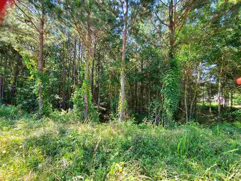 105 Kendall Lan, Covington, GA 30014 photo 11
