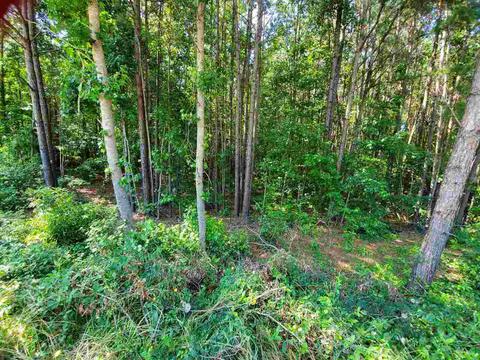 105 Kendall Lan, Covington, GA 30014 photo 13