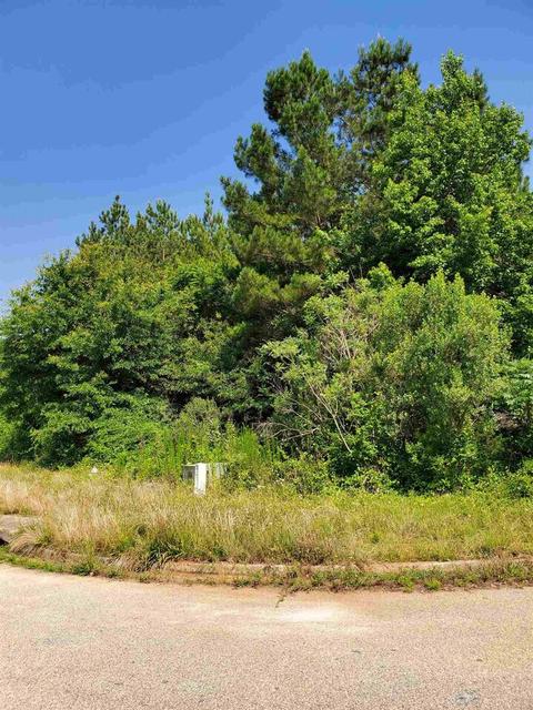 105 Kendall Lan, Covington, GA 30014 photo 1