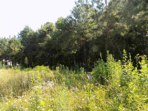 105 Kendall Lan, Covington, GA 30014 photo 5