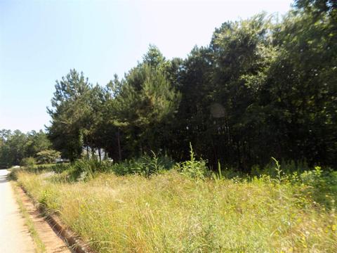 105 Kendall Lan, Covington, GA 30014 photo 6