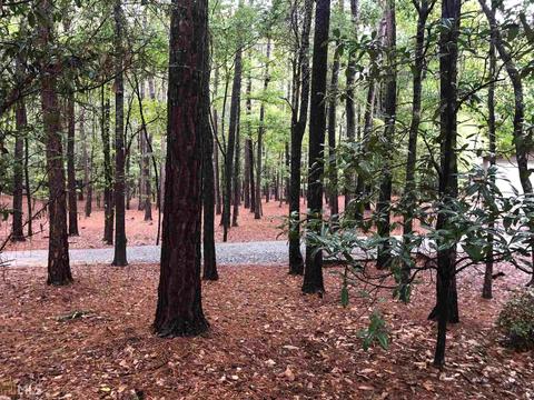120 Spring Branch Rd, Dublin, GA 31021 photo 36