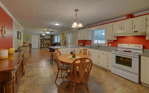 311 Erwin Rd, Cornelia, GA 30531 photo 2