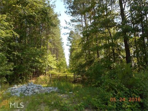 86 Old Word Rd, Bowdon, GA 30108 photo 3