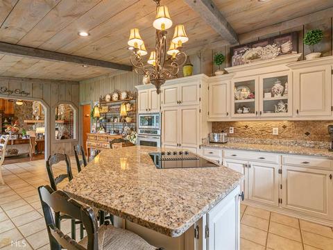 534 Hampton Locust Grove Rd, Hampton, GA 30228 photo 30