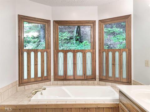 119 Riverview Dr, Clarkesville, GA 30523 photo 17