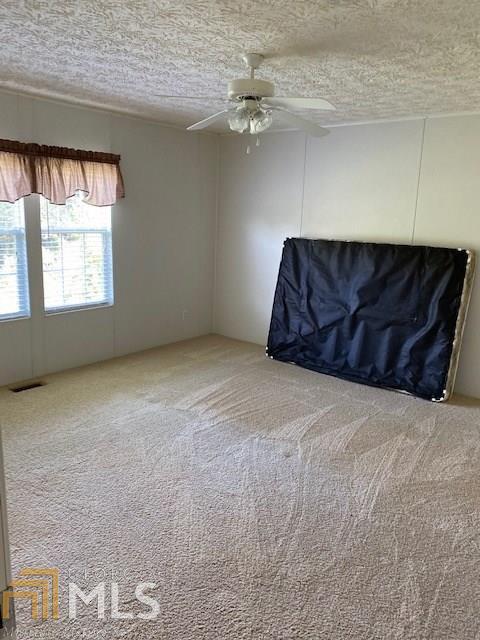 596 Argo Rd, Royston, GA 30662 photo 16