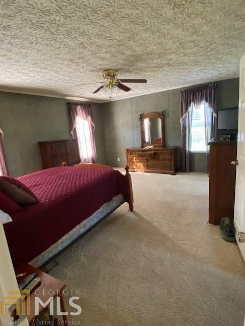 596 Argo Rd, Royston, GA 30662 photo 11