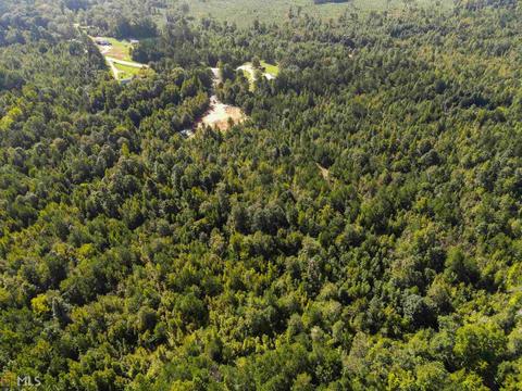 175 Thomas Rd, Haddock, GA 31033 photo 9