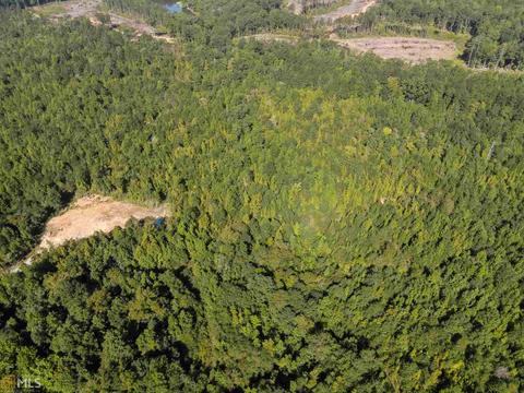 175 Thomas Rd, Haddock, GA 31033 photo 3