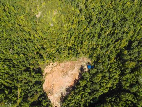 175 Thomas Rd, Haddock, GA 31033 photo 1