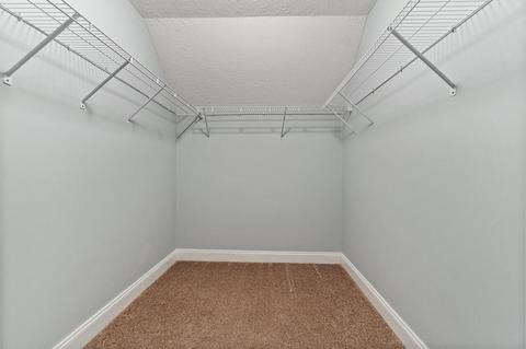 287 Rocky Creek Rd, Hampton, GA 30228 photo 42