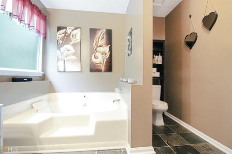 115 River Trace Ct, Mcdonough, GA 30253 photo 10