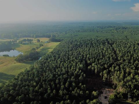 720 Simpson Rd, Franklin, GA 30217 photo 5