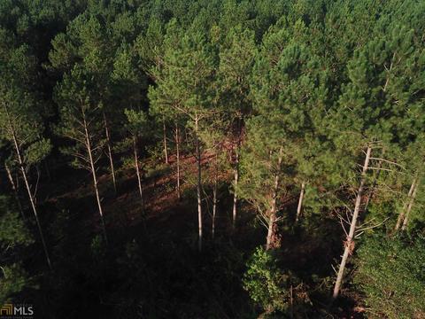 720 Simpson Rd, Franklin, GA 30217 photo 3