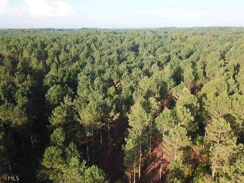 720 Simpson Rd, Franklin, GA 30217 photo 2