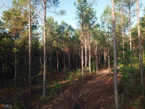 720 Simpson Rd, Franklin, GA 30217 photo 4
