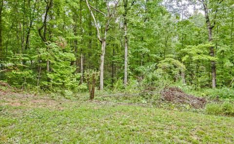 1028 Cherry Rd, Franklin, GA 30217 photo 48