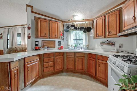 1028 Cherry Rd, Franklin, GA 30217 photo 14