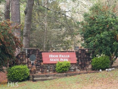 413 White Pines Dr, Jackson, GA 30233 photo 56