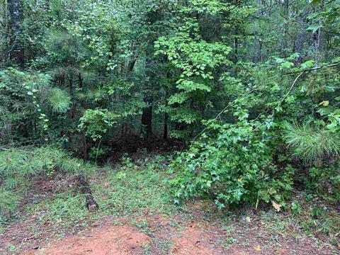 1499 Blount Rd, Jackson, GA 30233 photo 44