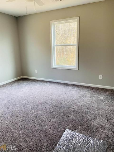 175 River View Dr, Carnesville, GA 30521 photo 18