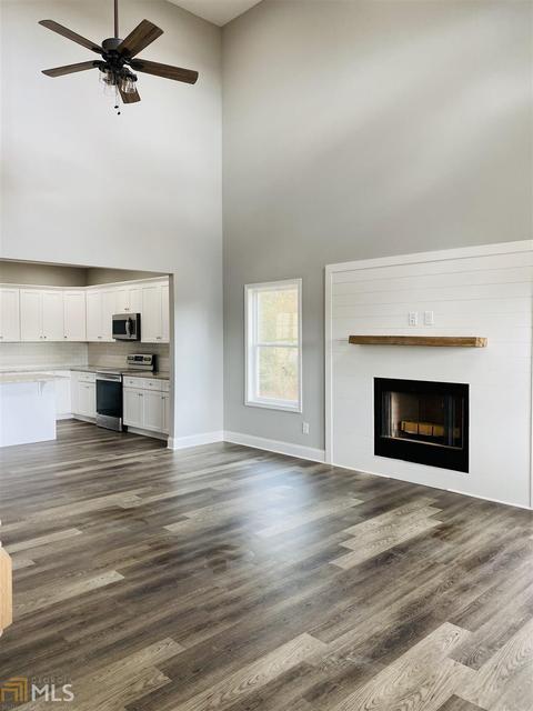 175 River View Dr, Carnesville, GA 30521 photo 5