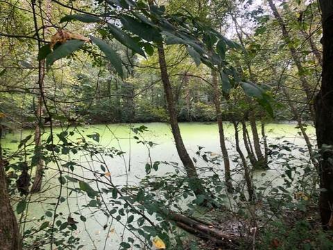 5904 Highway 326, Commerce, GA 30530 photo 97