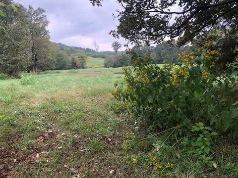 5904 Highway 326, Commerce, GA 30530 photo 92