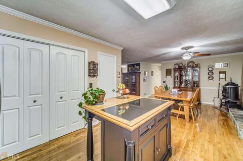 72 Apache Ridge Rd, Jasper, GA 30143 photo 31