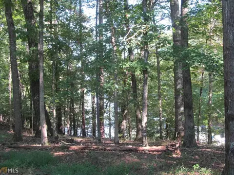 1027 Riverside Dr, Lagrange, GA 30240 photo 29