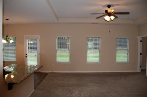11193 Wind Ridge Dr, Hampton, GA 30228 photo 2