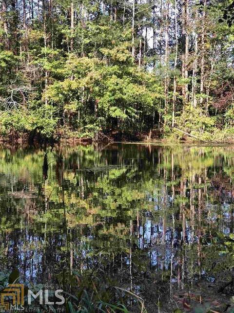 43 Plunkett Rd, Waco, GA 30182 photo 28