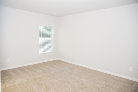 423 Whitby Ter, Hampton, GA 30228 photo 27