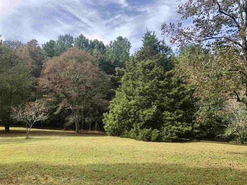1934 Pine Rd, Dacula, GA 30019 photo 9