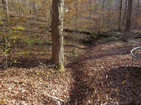 467 Thrasher Dr, Toccoa, GA 30577 photo 28