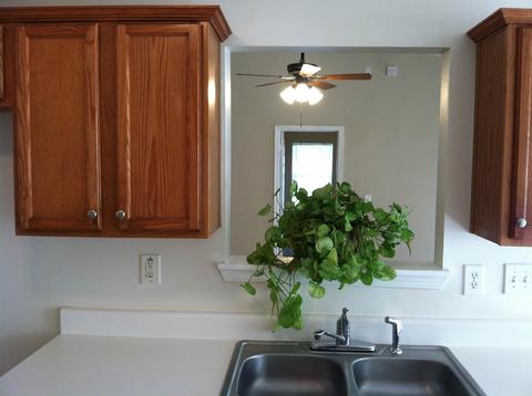 245 Green Commons Dr, Covington, GA 30016 photo 11