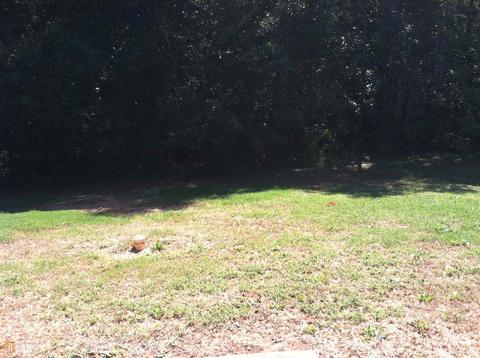 245 Green Commons Dr, Covington, GA 30016 photo 5