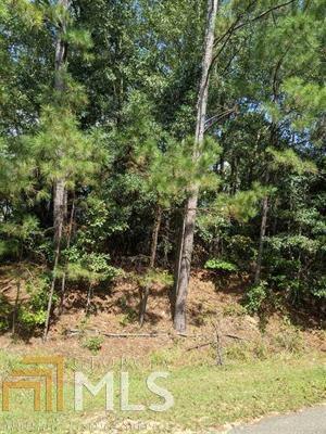 102 Tom Watson Ave, Ideal, GA 31041 photo 2