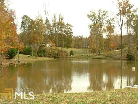 100 Dogwood Cv, Toccoa, GA 30577 photo 1