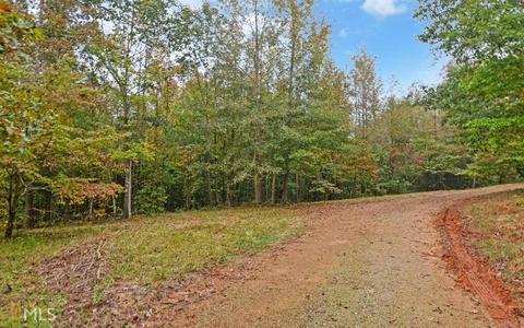 100 Dogwood Cv, Toccoa, GA 30577 photo 19
