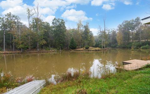 100 Dogwood Cv, Toccoa, GA 30577 photo 30