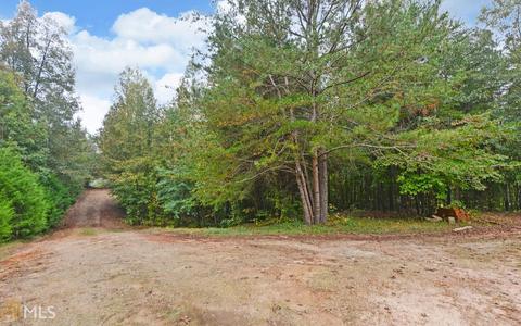 100 Dogwood Cv, Toccoa, GA 30577 photo 14
