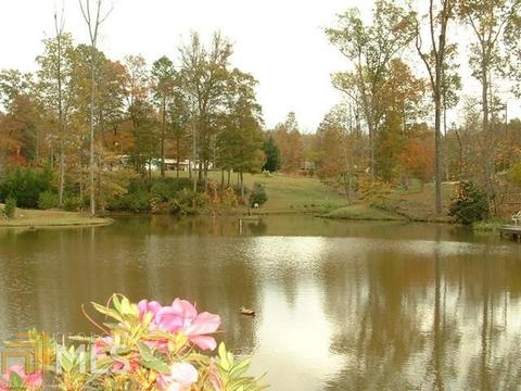 100 Dogwood Cv, Toccoa, GA 30577 photo 3