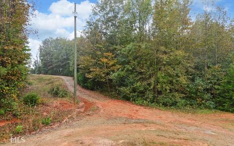 100 Dogwood Cv, Toccoa, GA 30577 photo 20