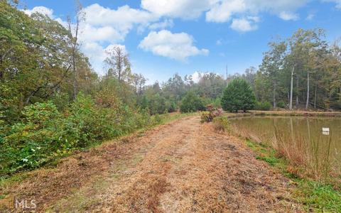 100 Dogwood Cv, Toccoa, GA 30577 photo 34