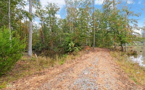 100 Dogwood Cv, Toccoa, GA 30577 photo 37