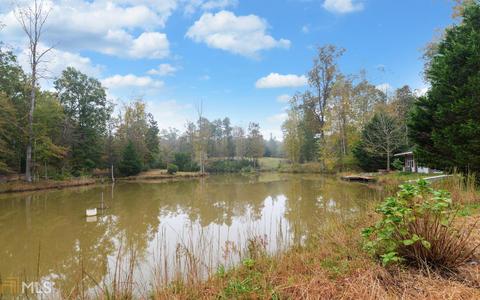 100 Dogwood Cv, Toccoa, GA 30577 photo 35